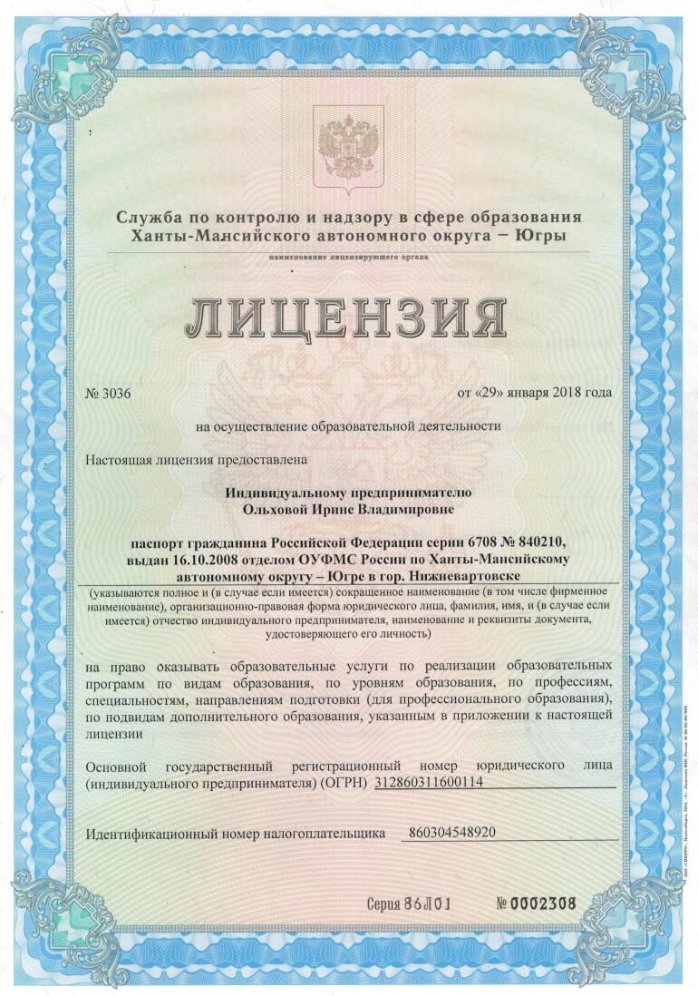 Лицензия ИП